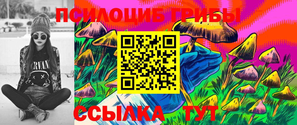 Псилоцибиновые грибы Magic Shrooms Ноябрьск